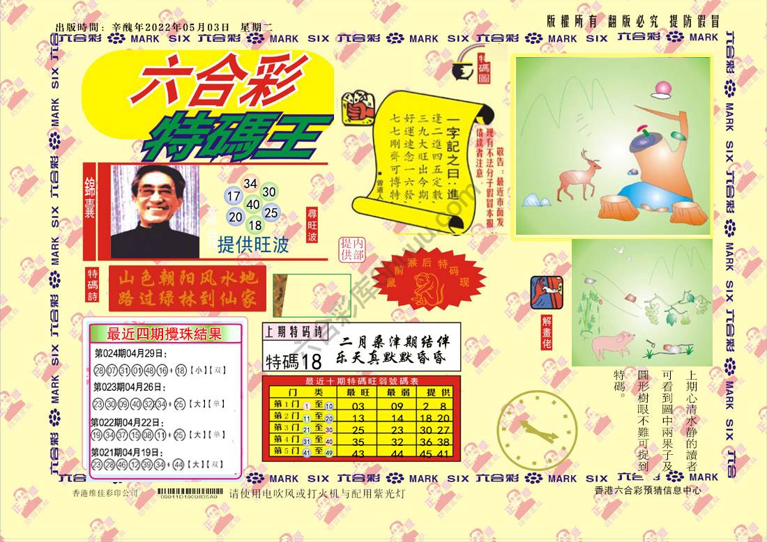 特码王