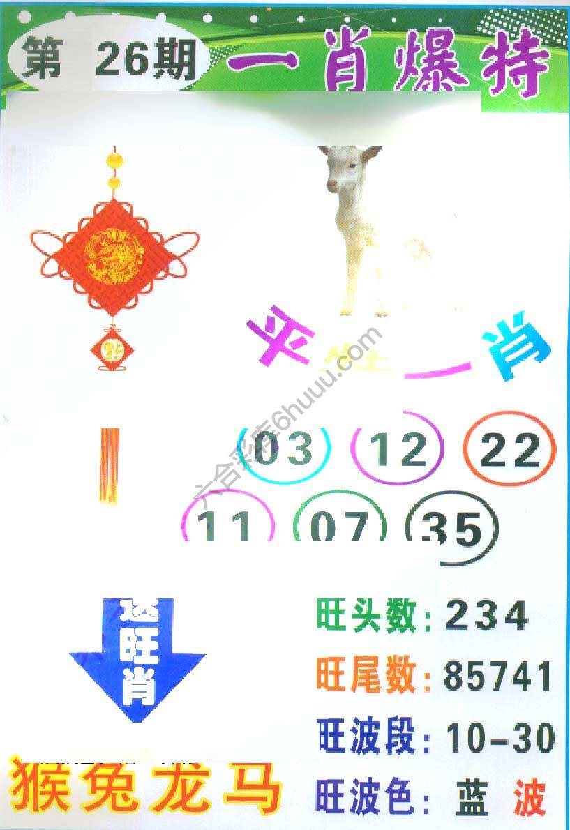 一肖爆特（新版）