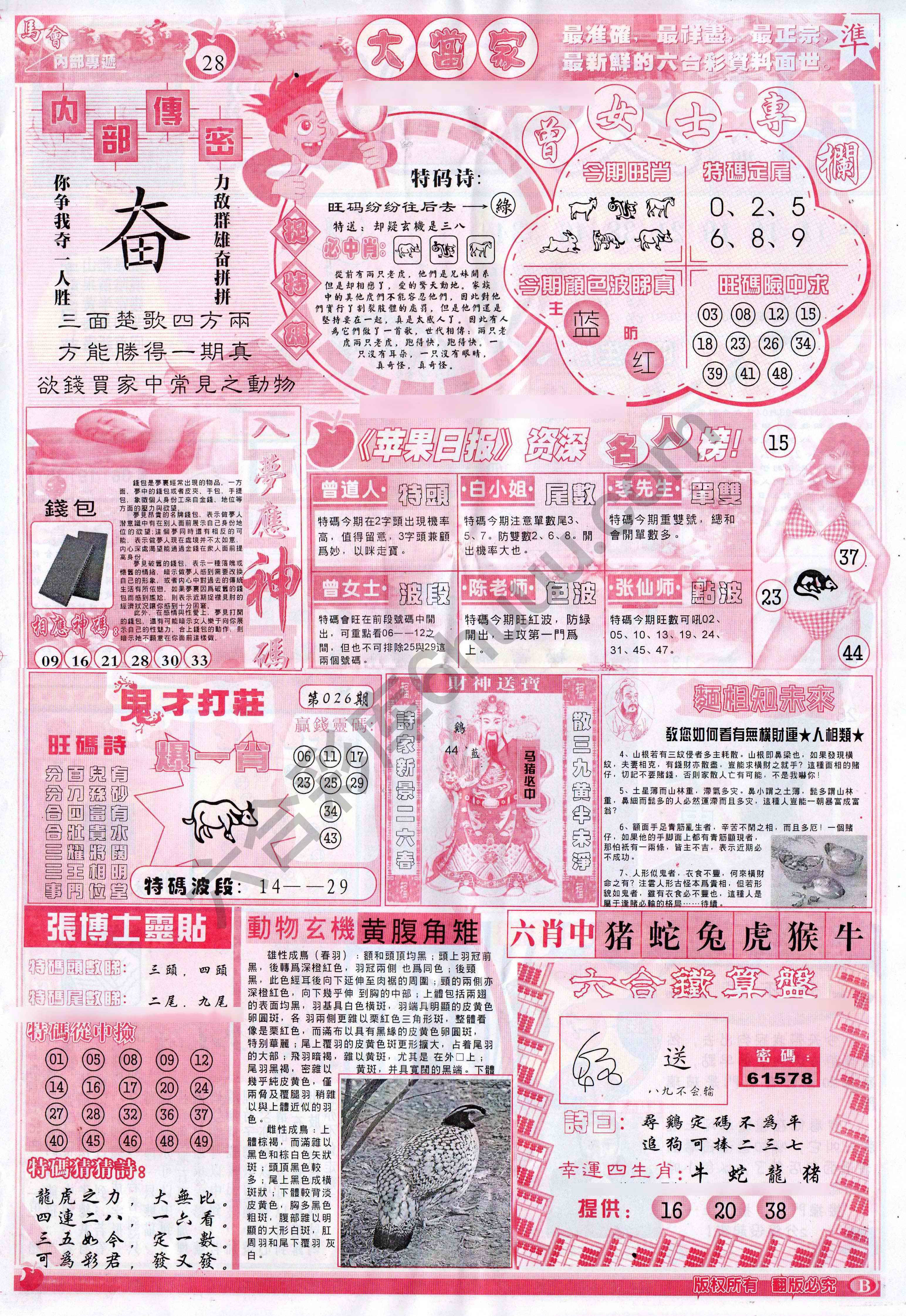 大当家