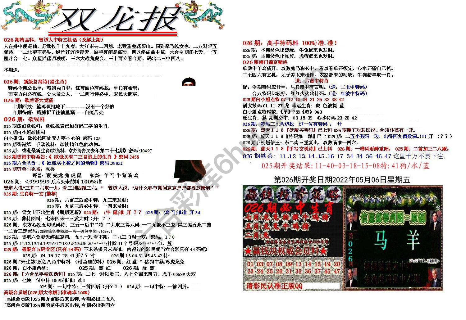 双龙报