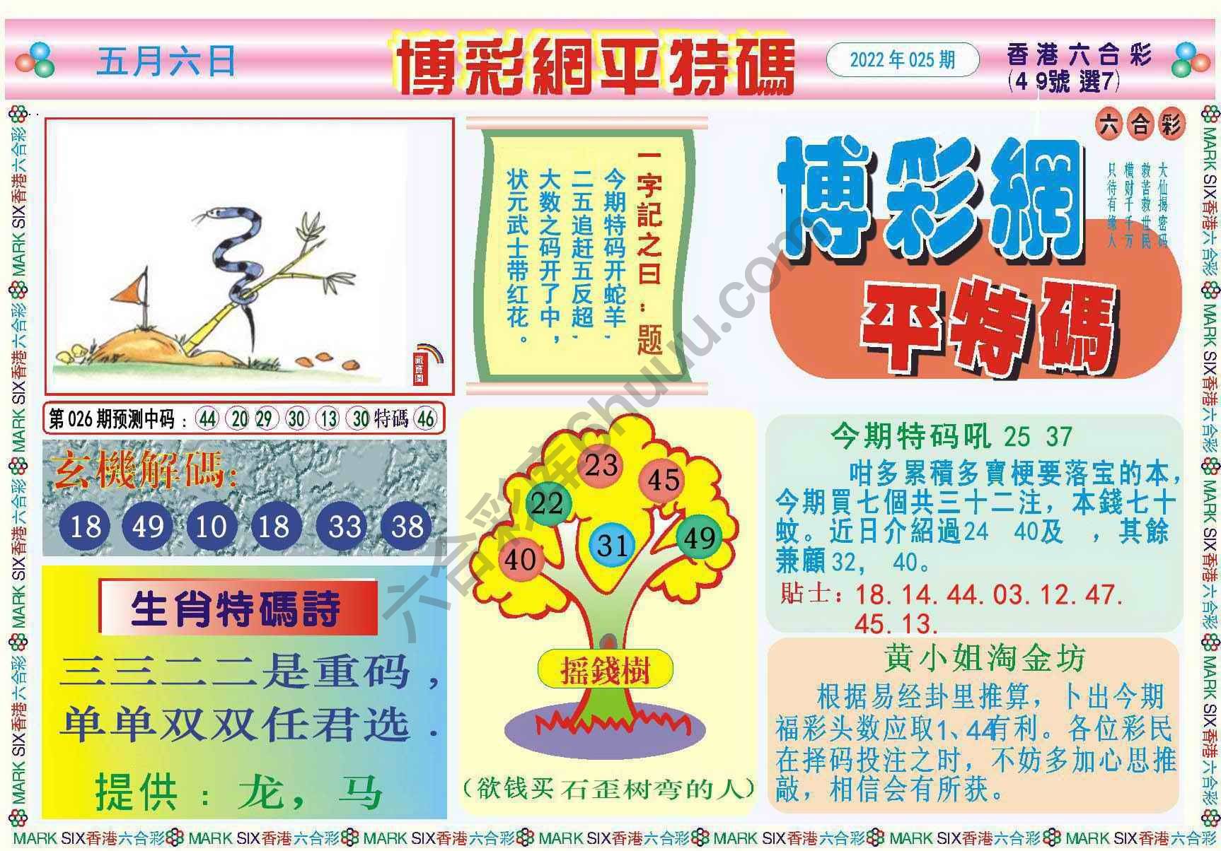 博彩网平特码