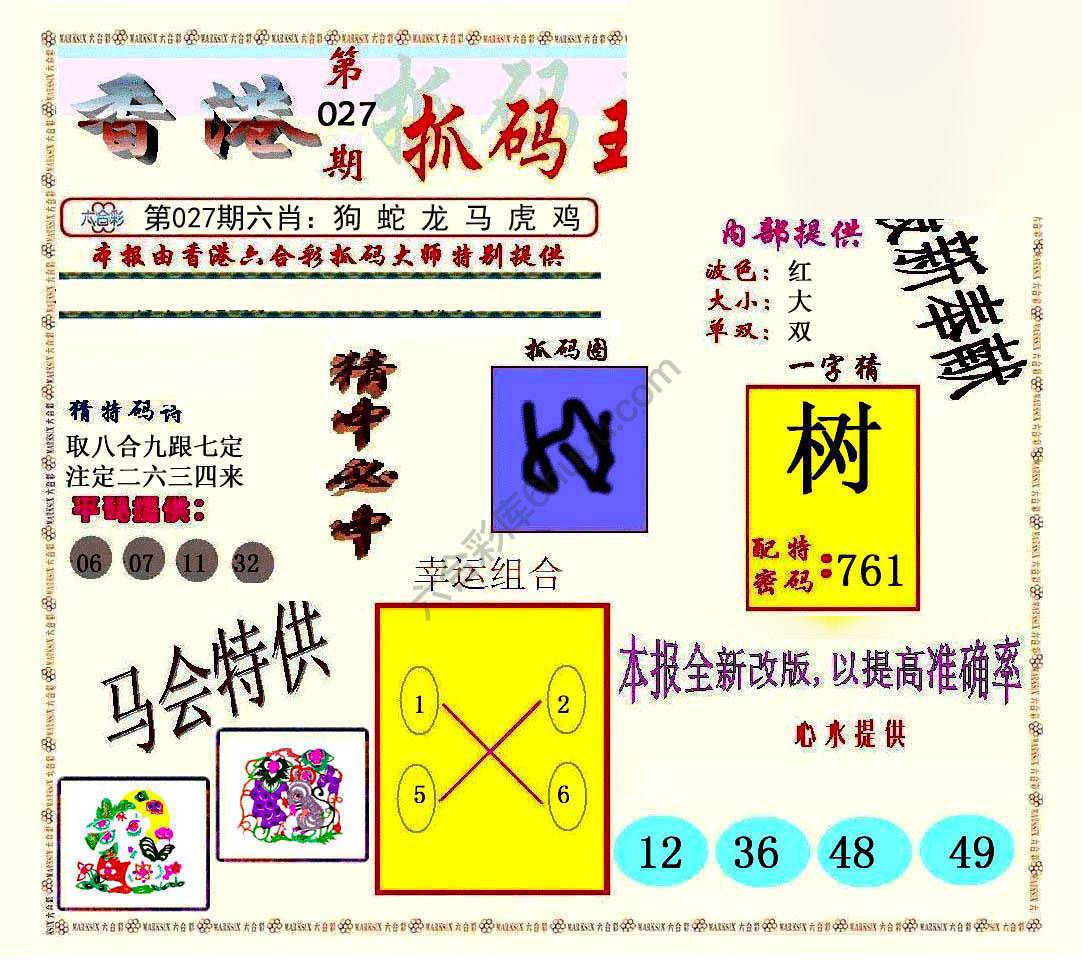 新抓码王