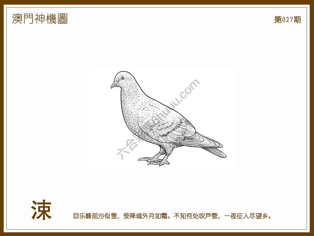 澳门神机图