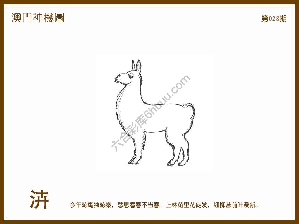 澳门神机图