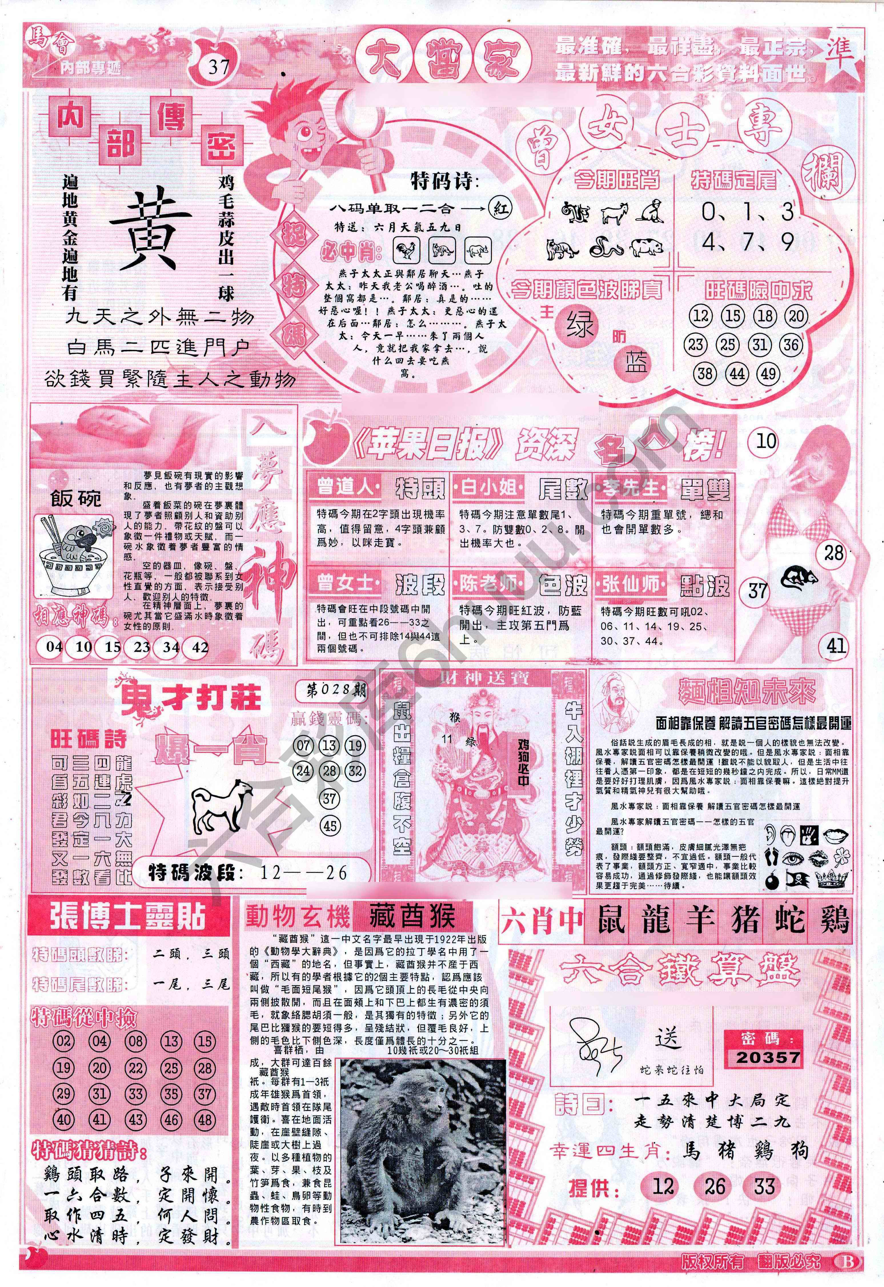 大当家