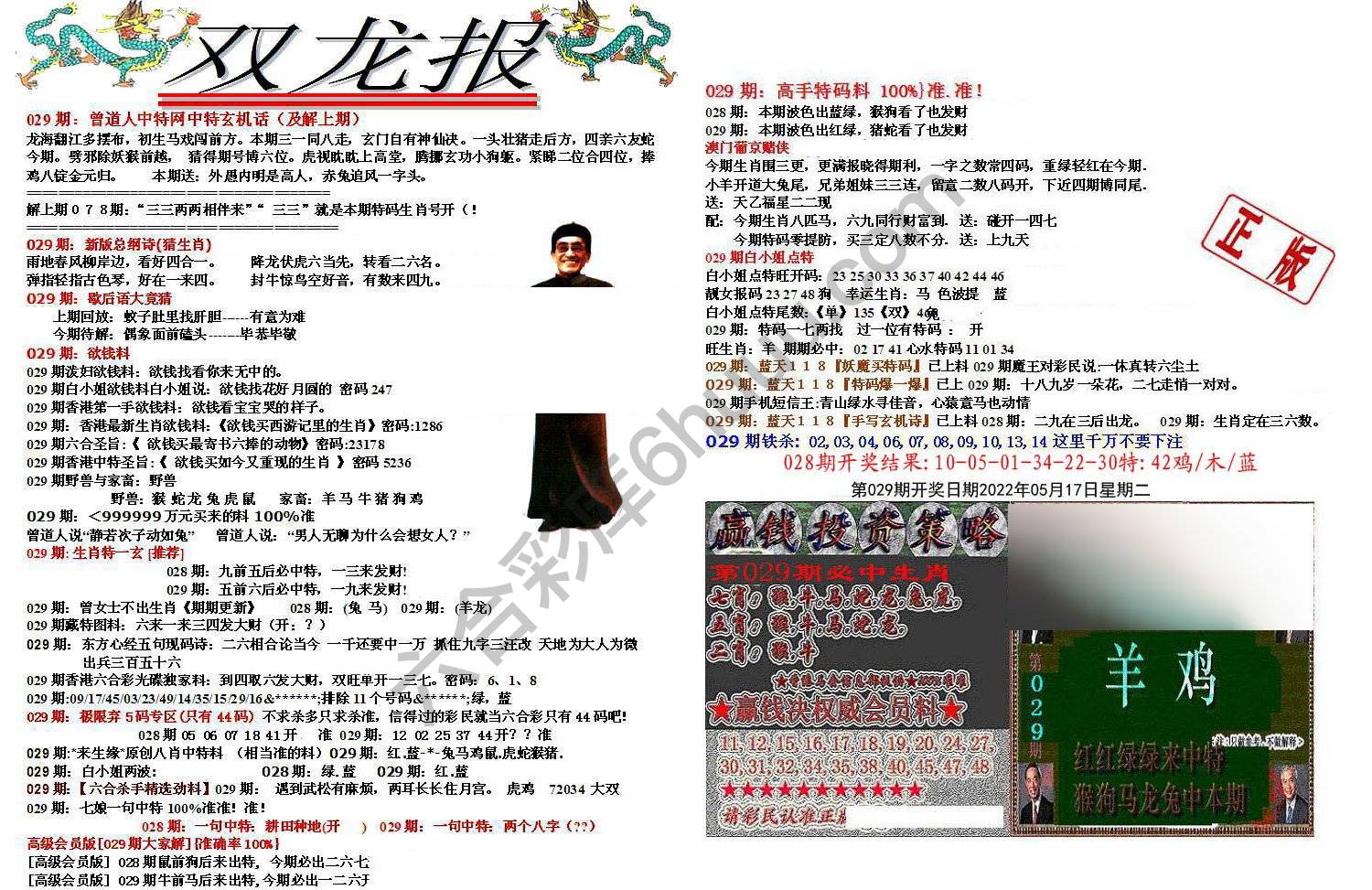 双龙报