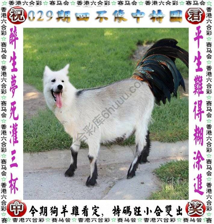 四不像中特图