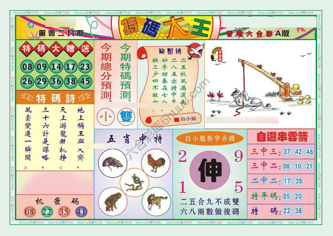 特码大王