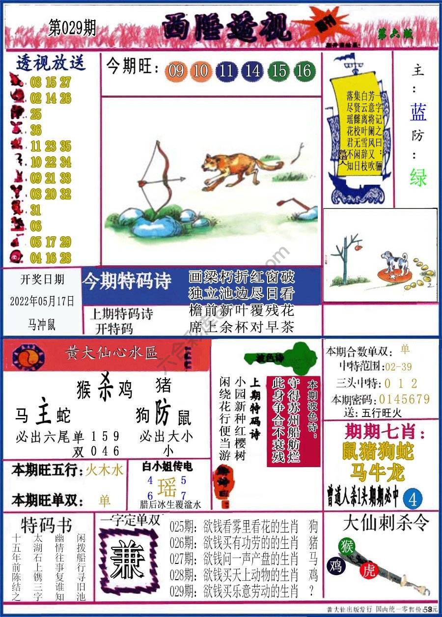 西陲透视（正版）