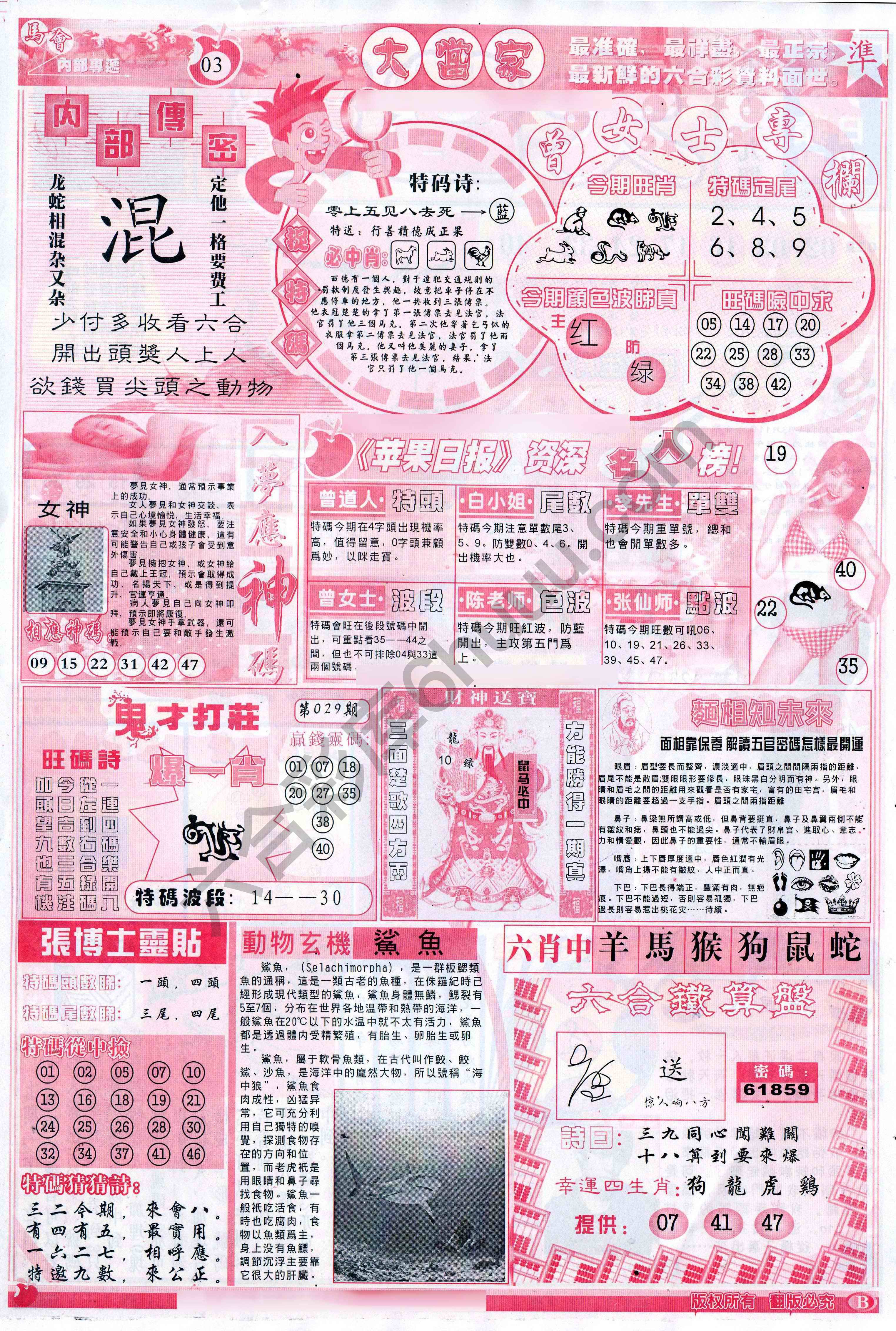 大当家