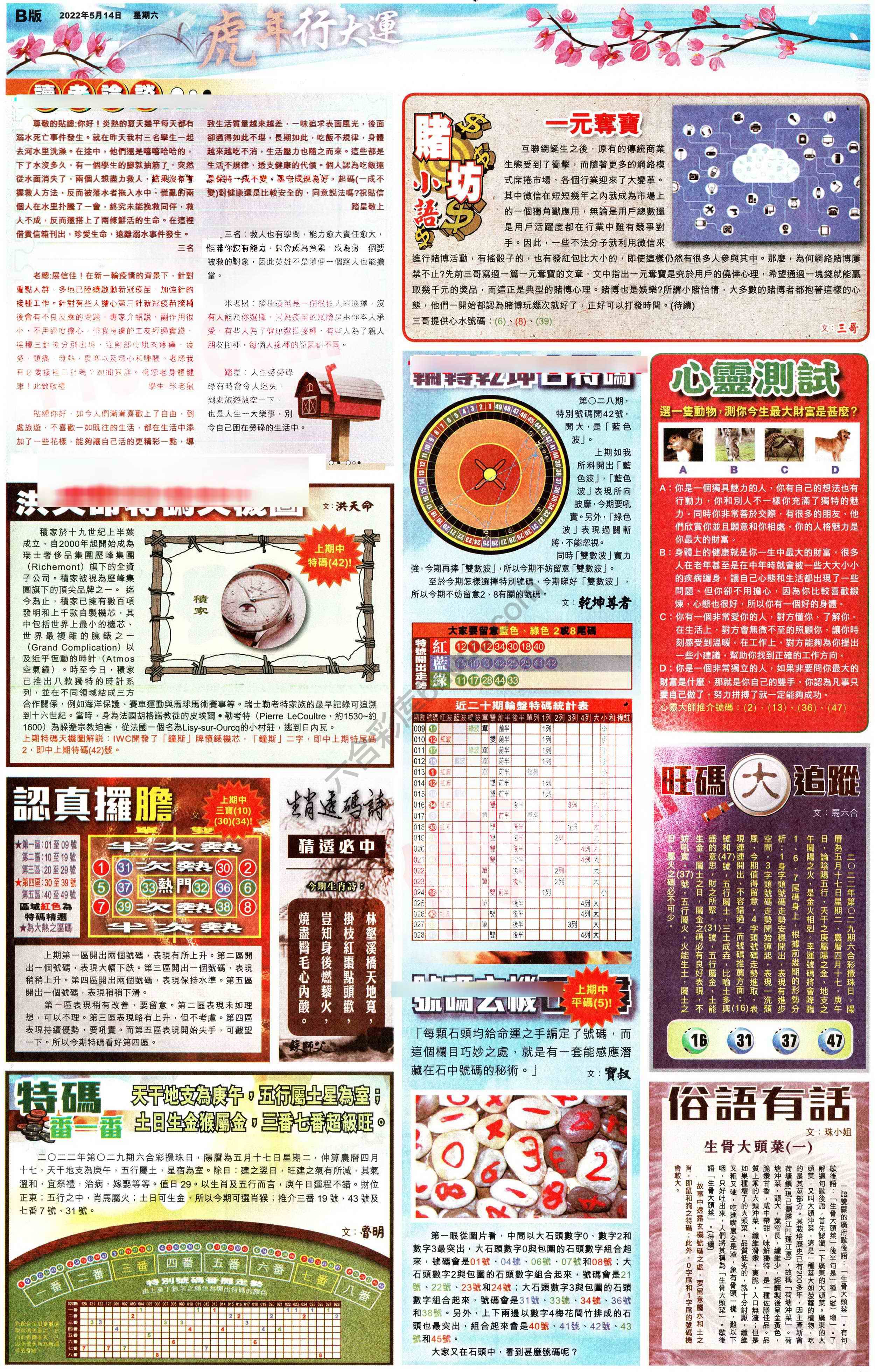 大版贴士皇