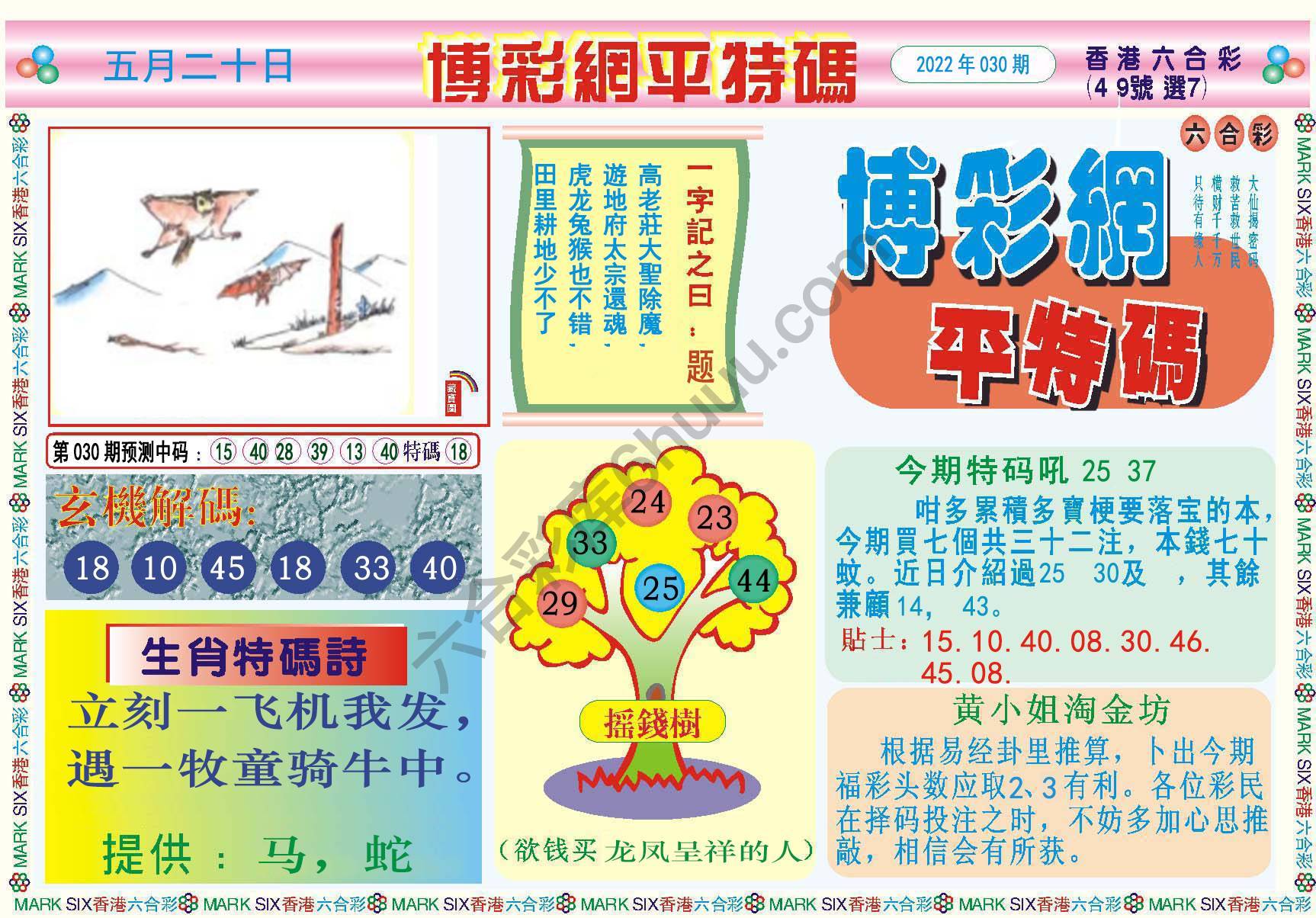 博彩网平特码