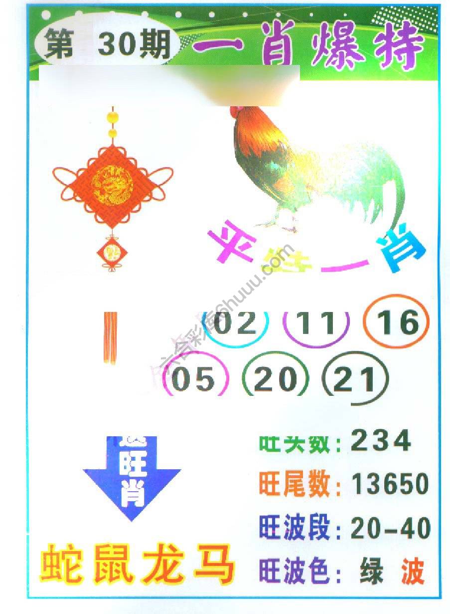 一肖爆特（新版）