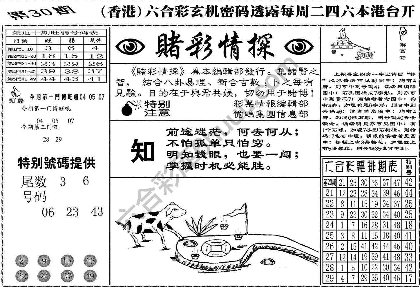 赌彩情探