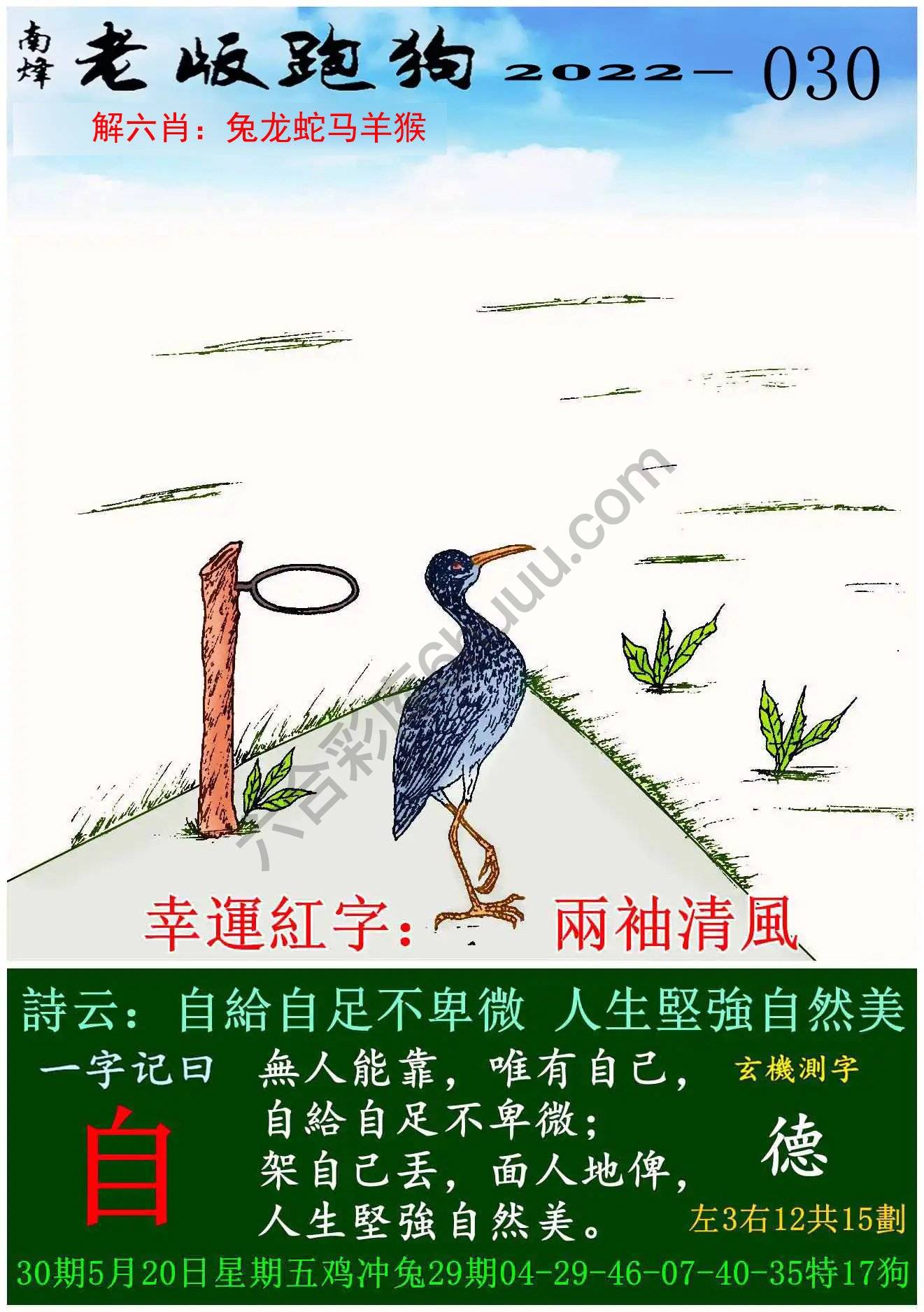 老版跑狗图