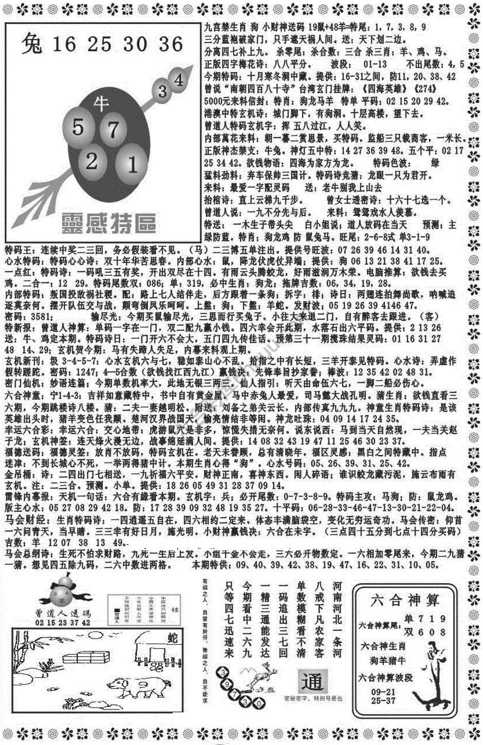 新香港彩霸王