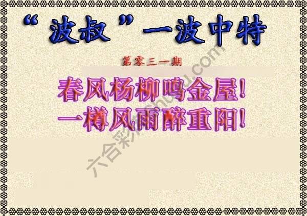 波叔一波中特
