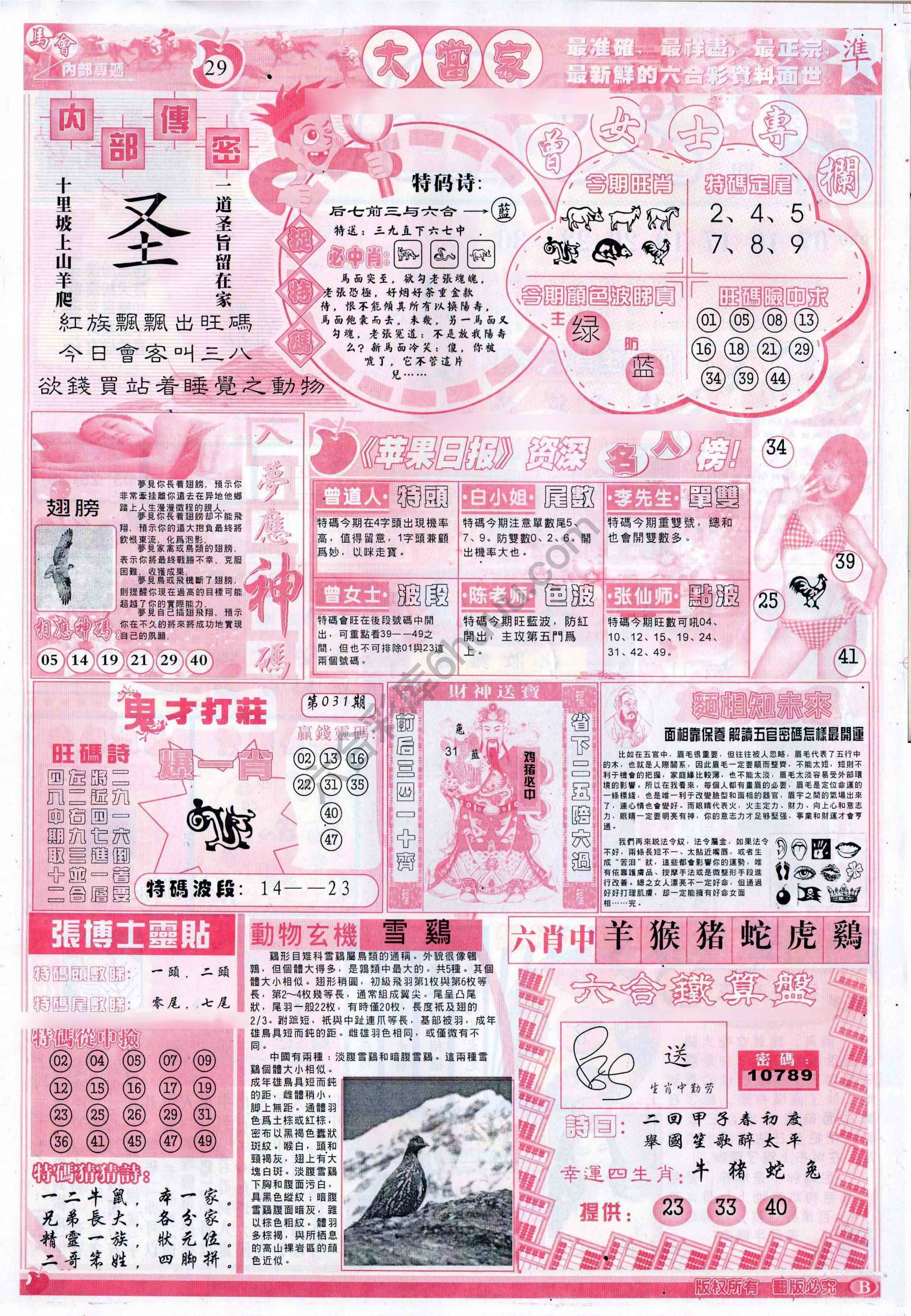大当家