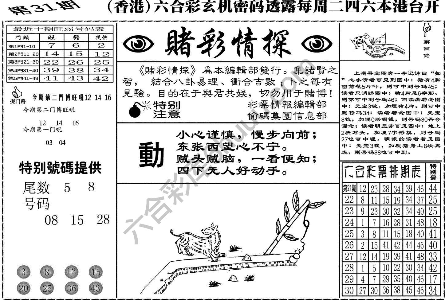 赌彩情探
