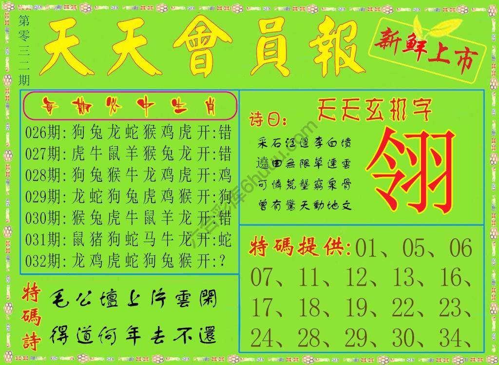天天会员报