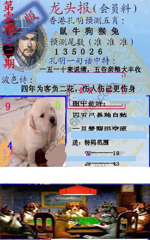 龙头报