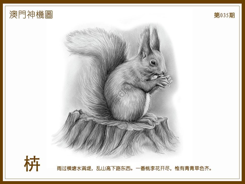澳门神机图
