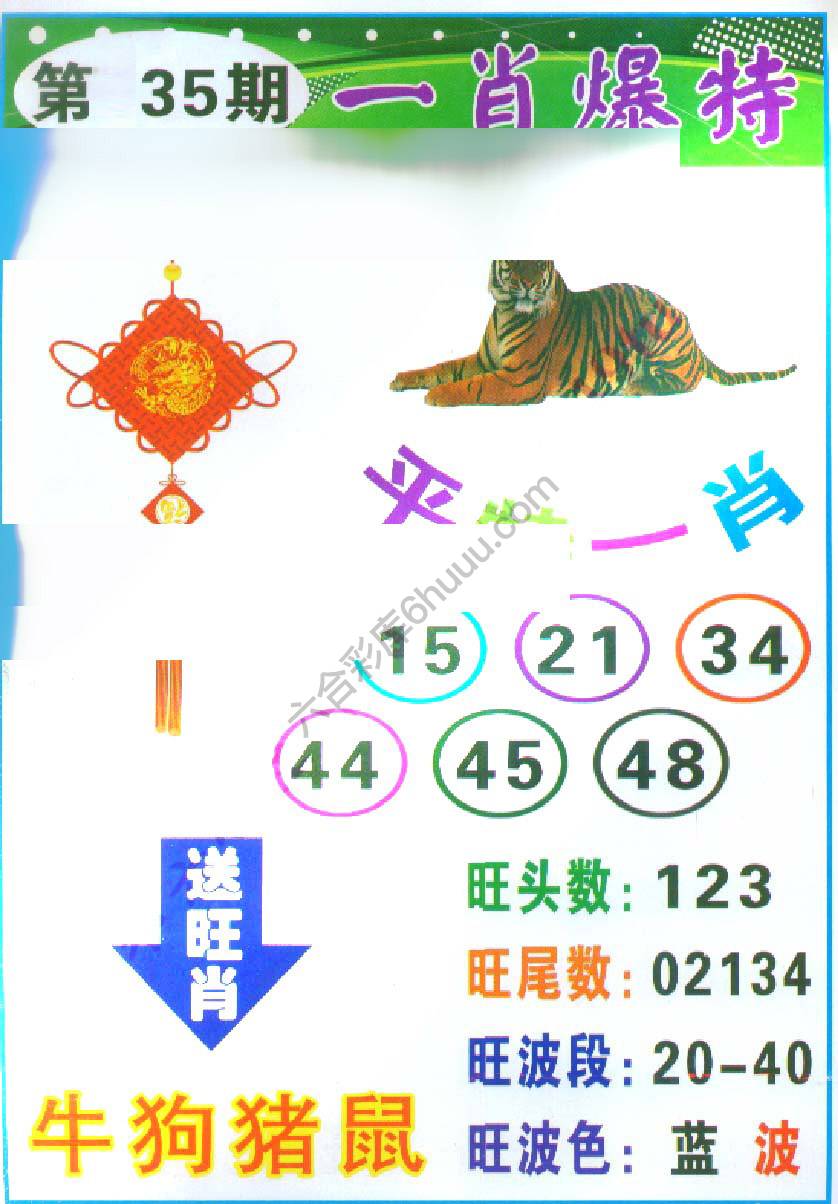 一肖爆特（新版）