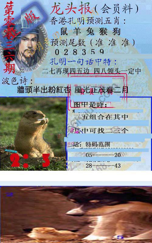 龙头报