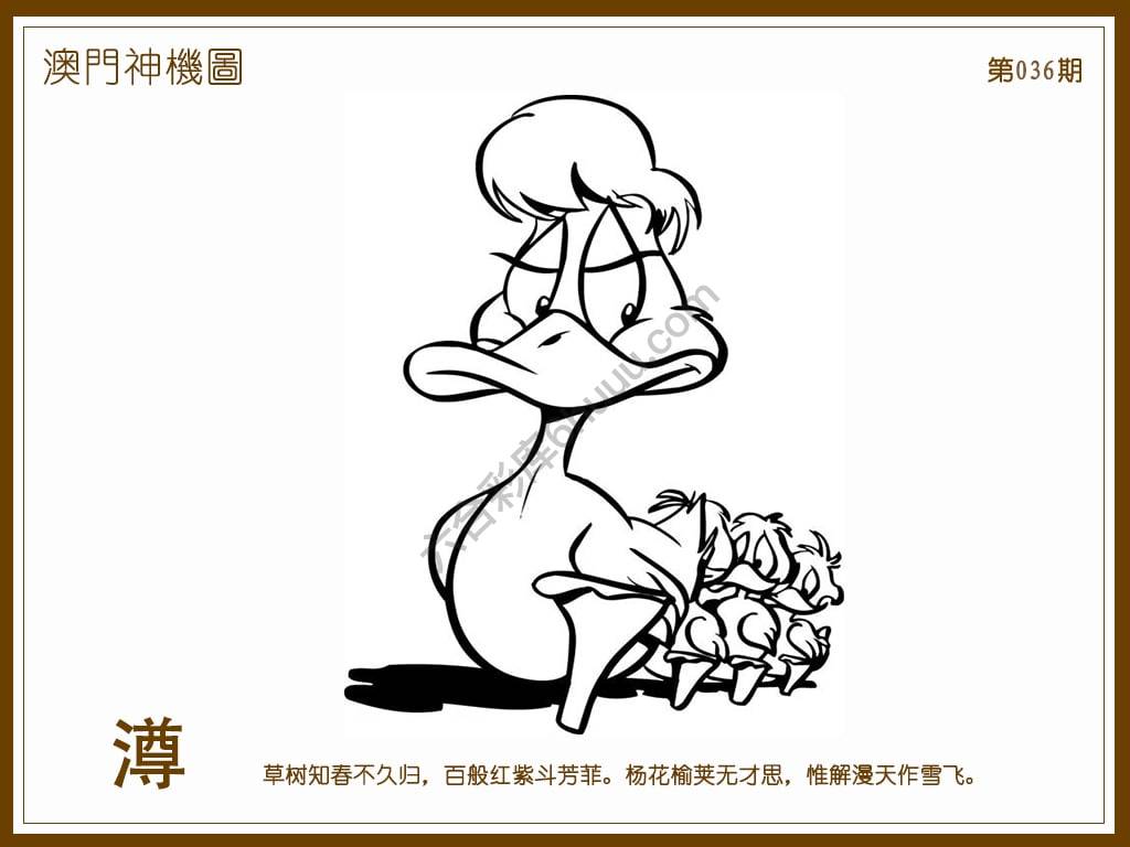 澳门神机图
