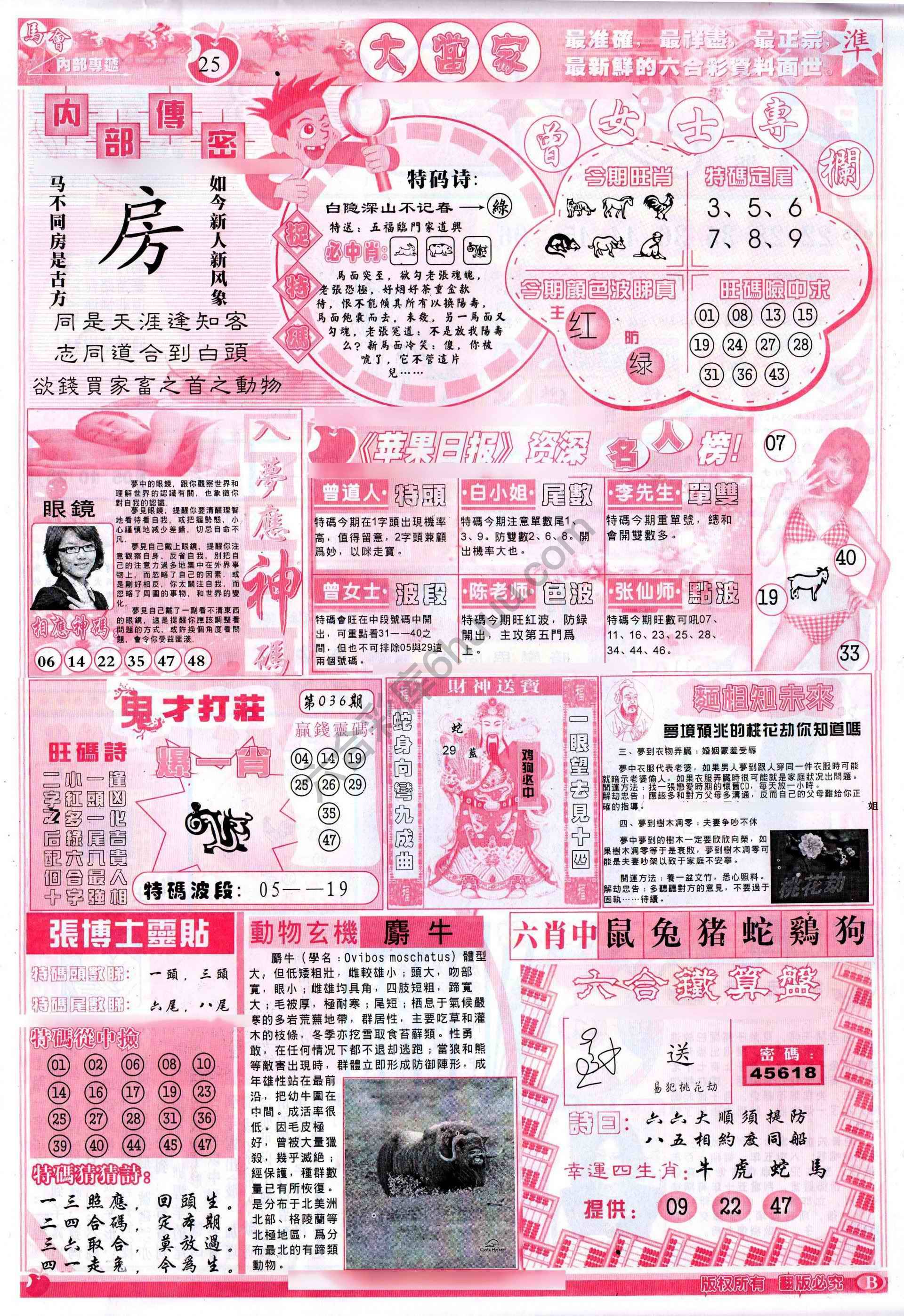 大当家