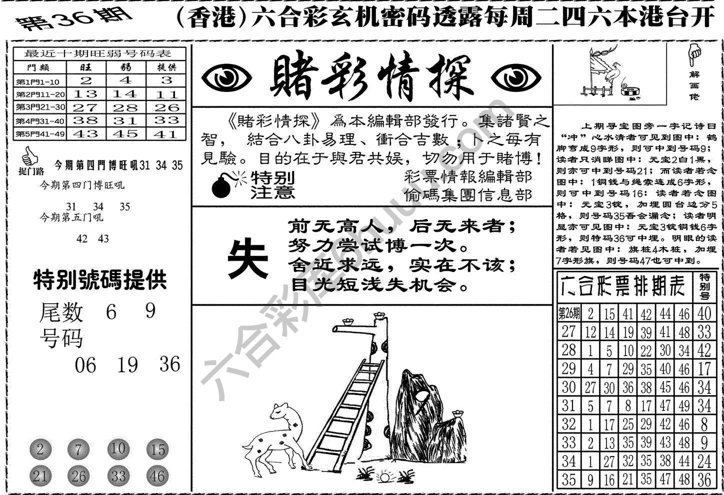 赌彩情探