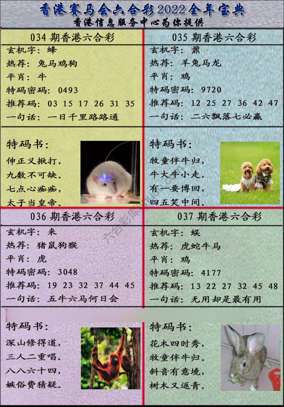 宝典报