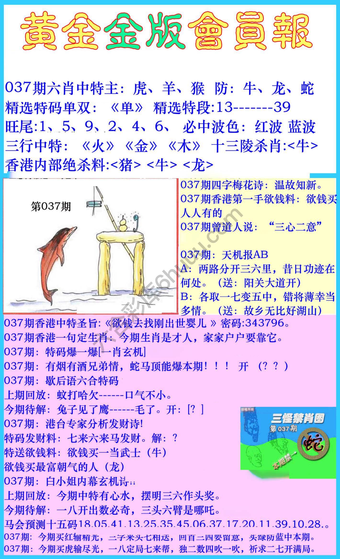 黄金金版会员报