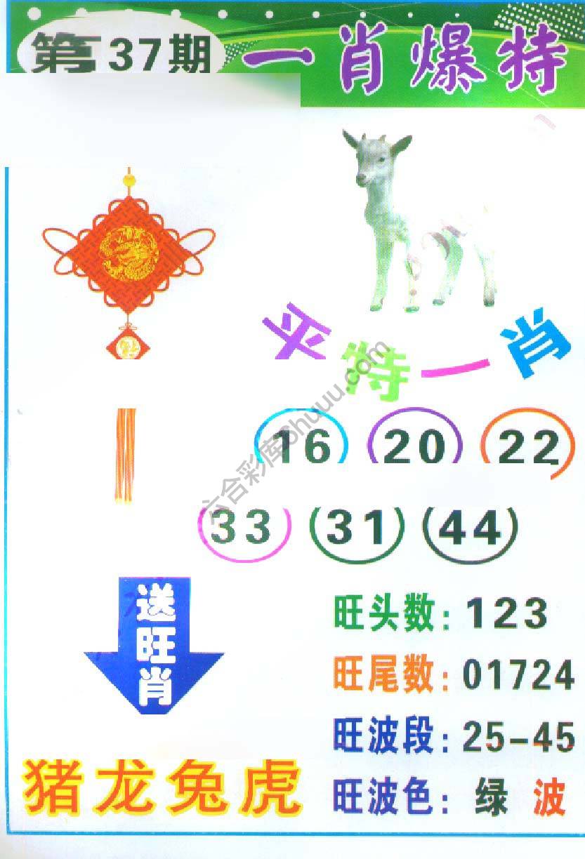 一肖爆特（新版）