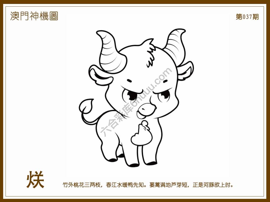 澳门神机图
