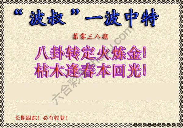 波叔一波中特