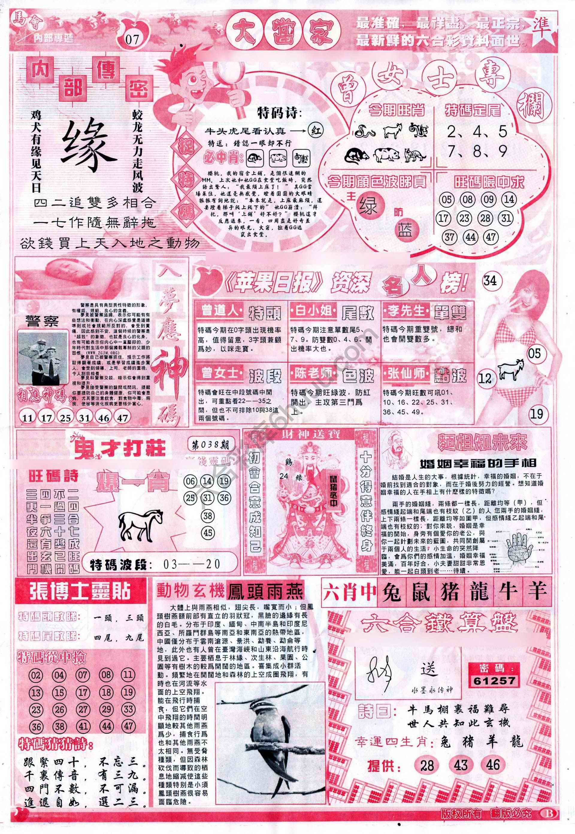 大当家