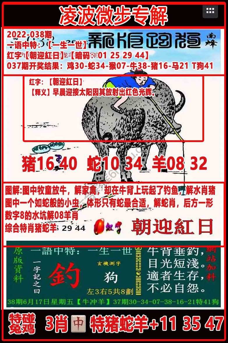 凌波微步解跑狗