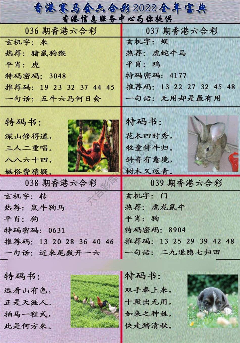 宝典报