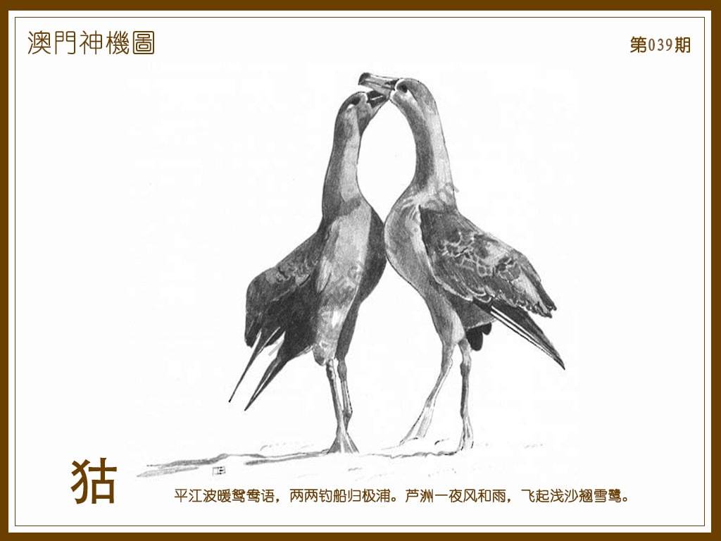 澳门神机图