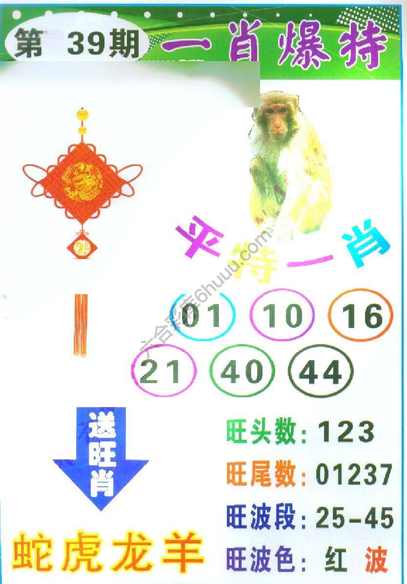 一肖爆特（新版）