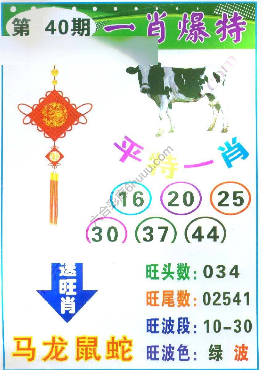 一肖爆特（新版）