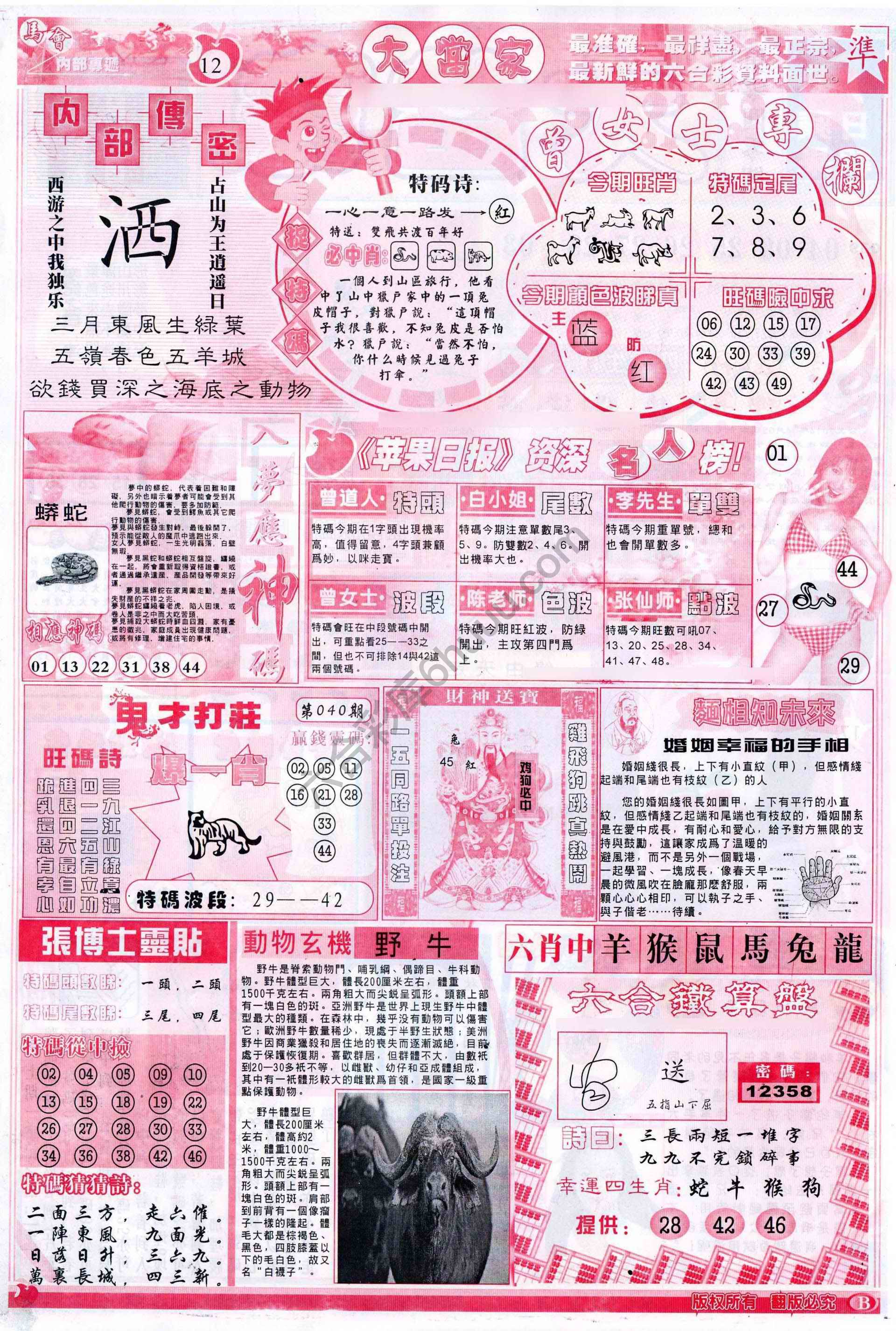 大当家