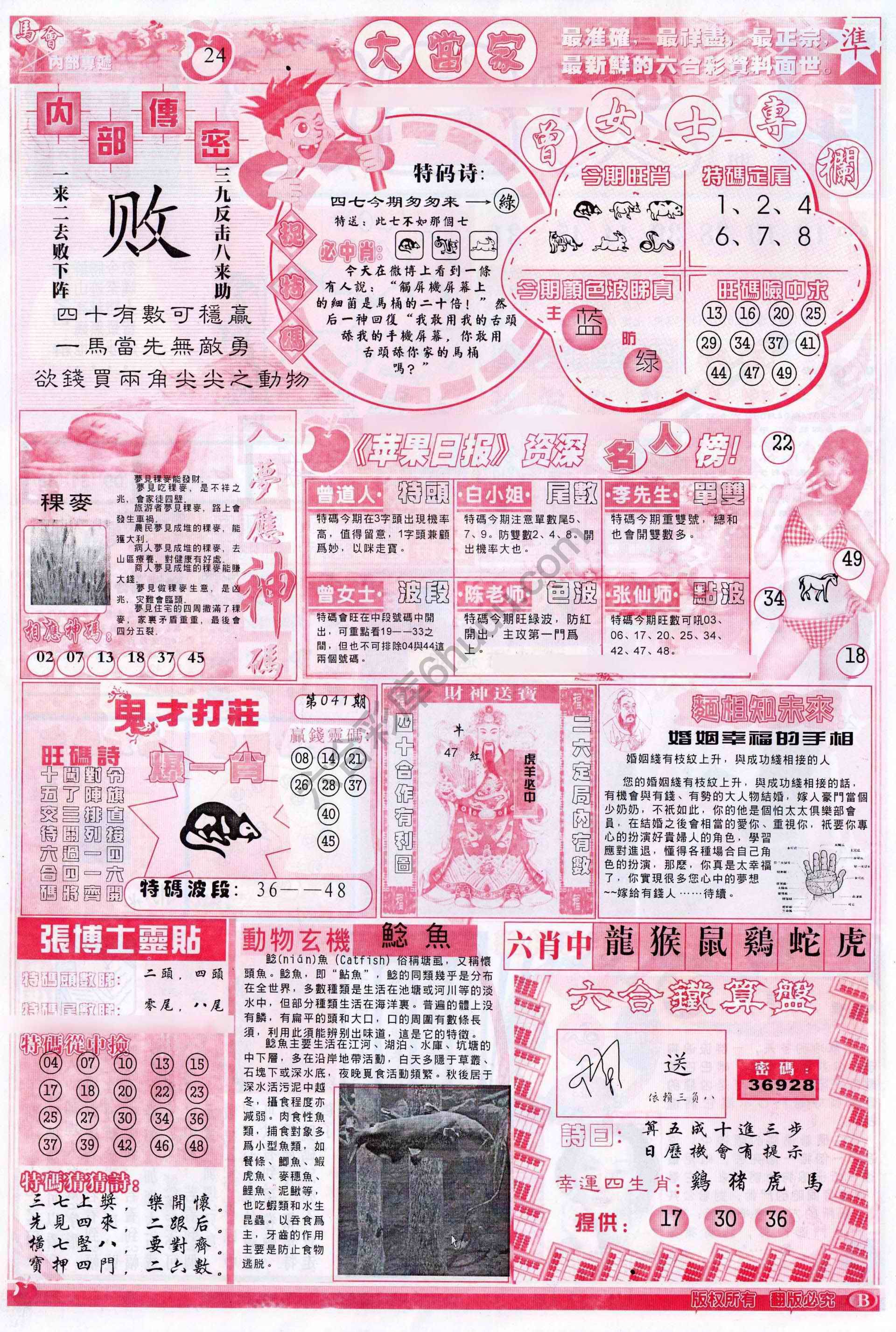大当家