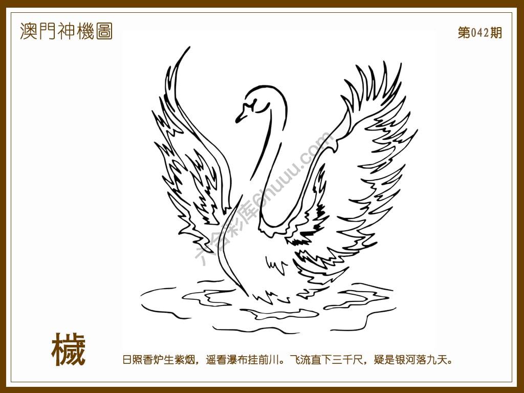 澳门神机图
