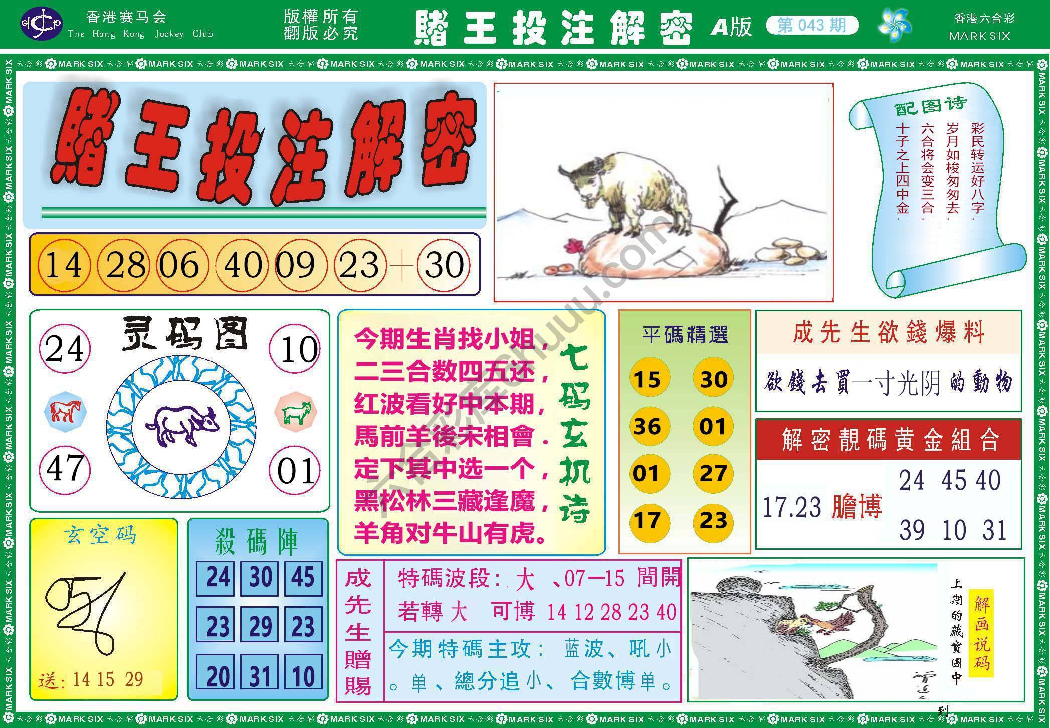 赌王投注解密