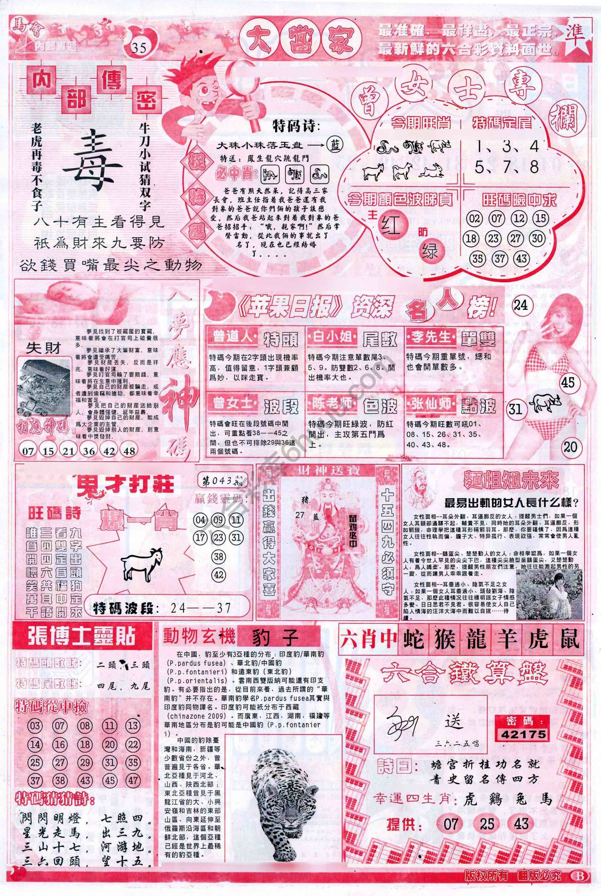 大当家