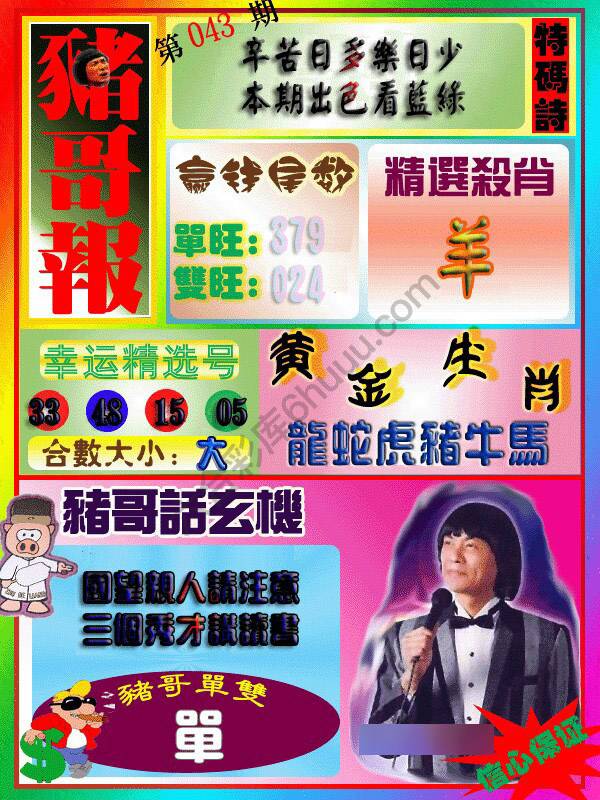 猪哥报