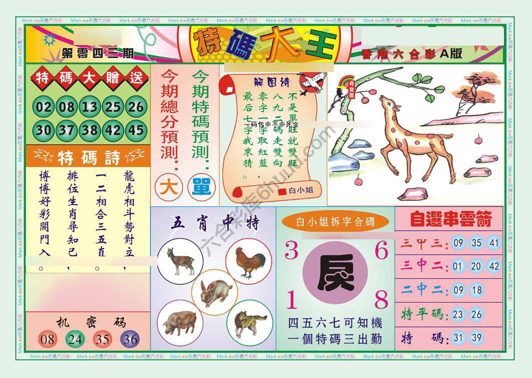 特码大王