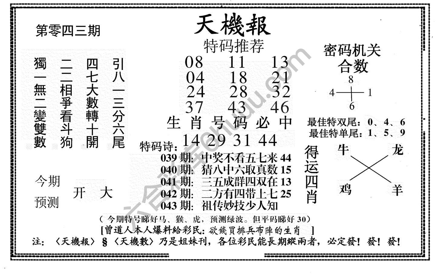 天机报